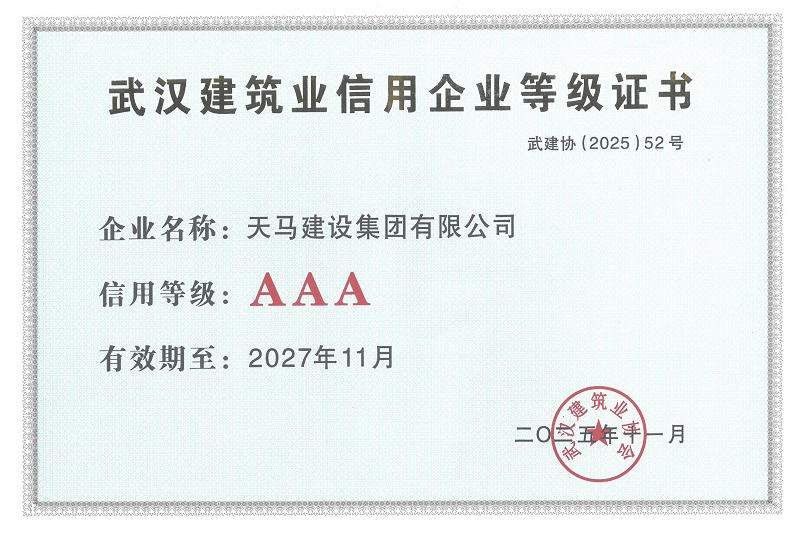 匠心鑄就卓越 奮進(jìn)譜寫新篇——天馬建設(shè)再獲多項(xiàng)榮譽(yù)